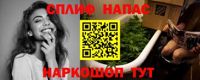 шишки Шахты