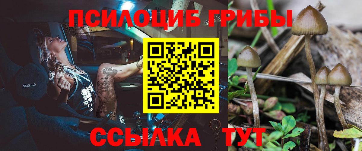 Гатчина  Галлюциногенные грибы ЛСД  Вход с VPN 